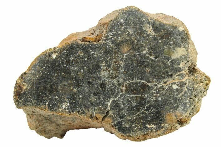 Polished Howardite Meteorite Section ( g) - Bechar #286923